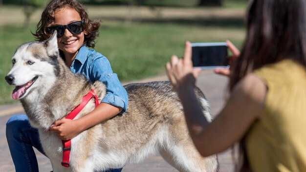 Pets and International Travel - A Complete Guide to Traveling Abroad with Your Pet