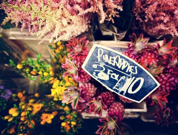 The New York Botanical Garden in the Bronx - Visitor Guide, Hours & Tickets