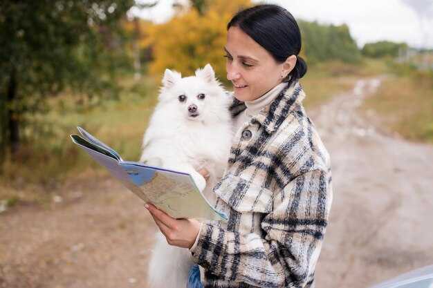 Travelling with Pets and Other Animals in the EU - A Practical Guide to Pet Travel Rules and Passports