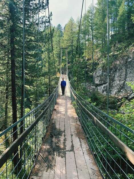 Walking the High Line in New York City - A Scenic Elevated Park Guide