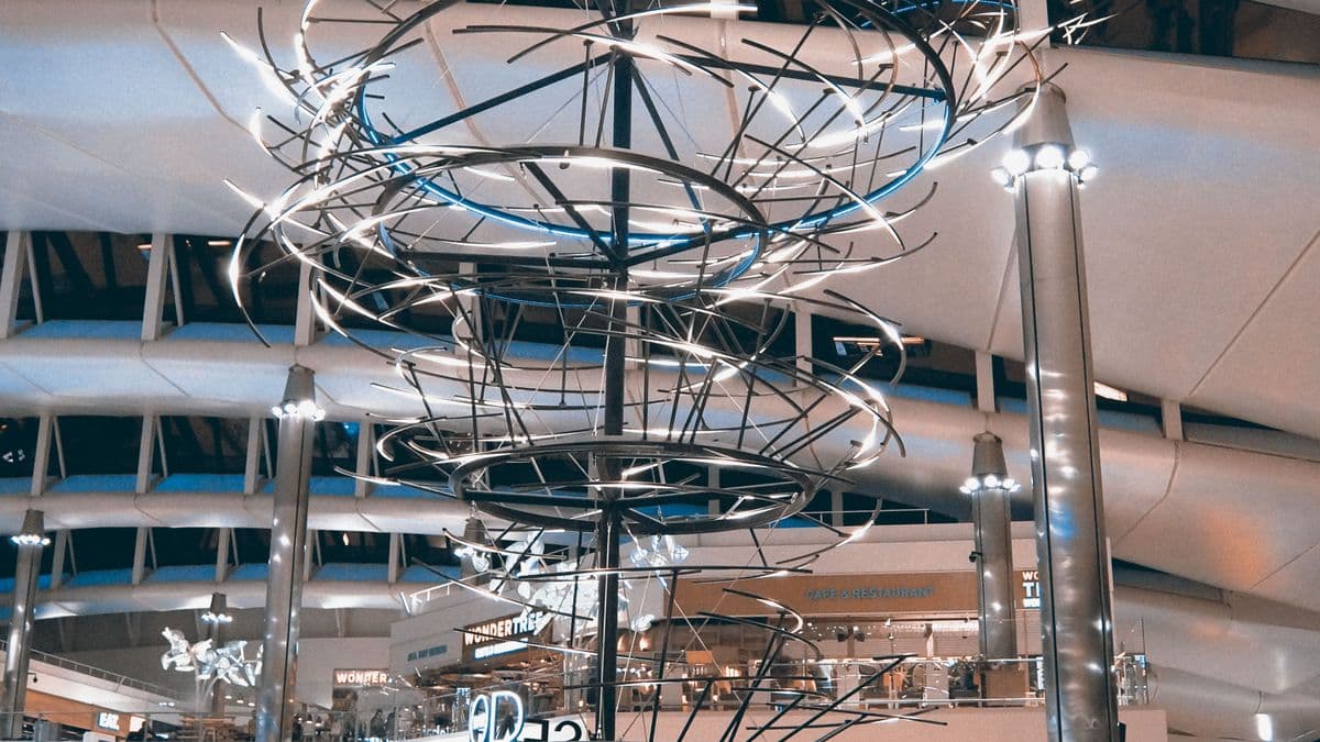Where to Eat at JFK Airport