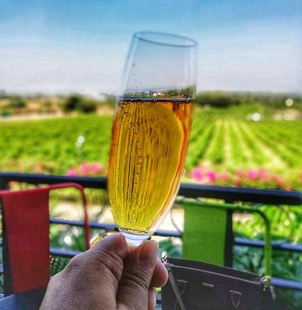 Best Beer Gardens in NYC – Our 13 Top Picks