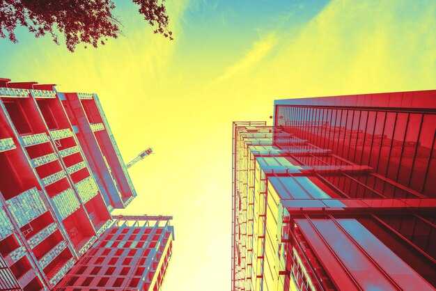 Timeline and Milestones: Key dates, phases, and decision checkpoints