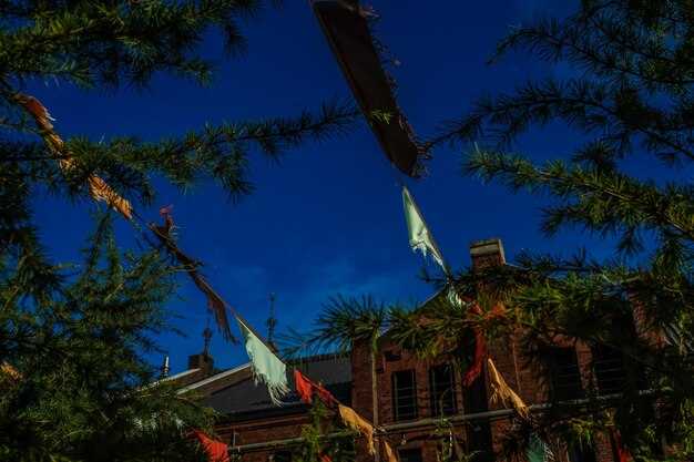 Dyker Heights Christmas Lights 2025 – Map & Insider Tips from a Local