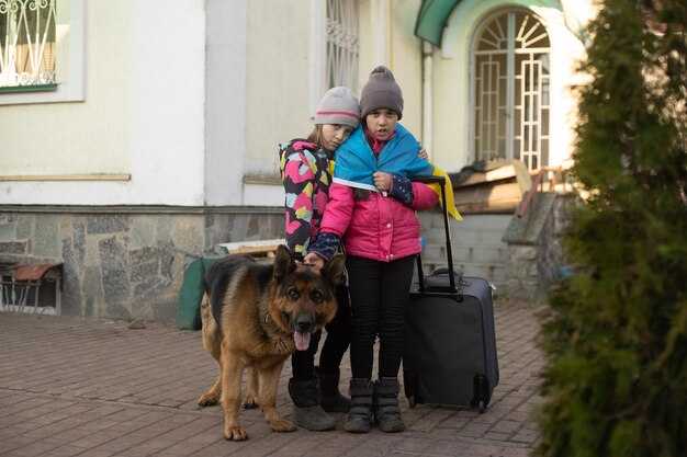 Pre-Trip Preparation: Training, Vet Checks, Identity, and Gear