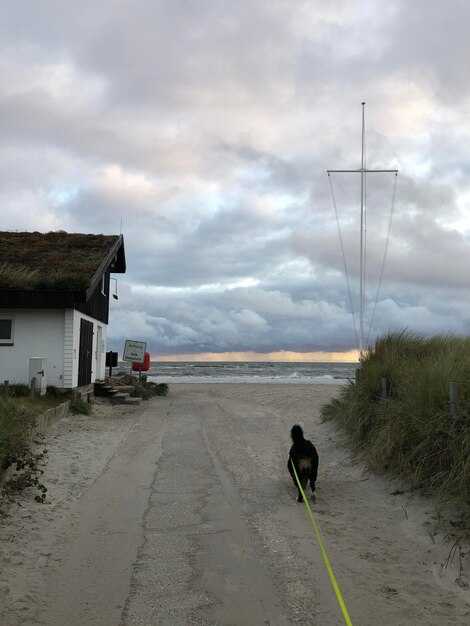 Ensemble forecast methods and consensus interpretation