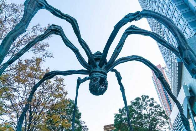 MoMA Museum of Modern Art in New York – Ultimate Guide, Highlights, and Visiting Tips