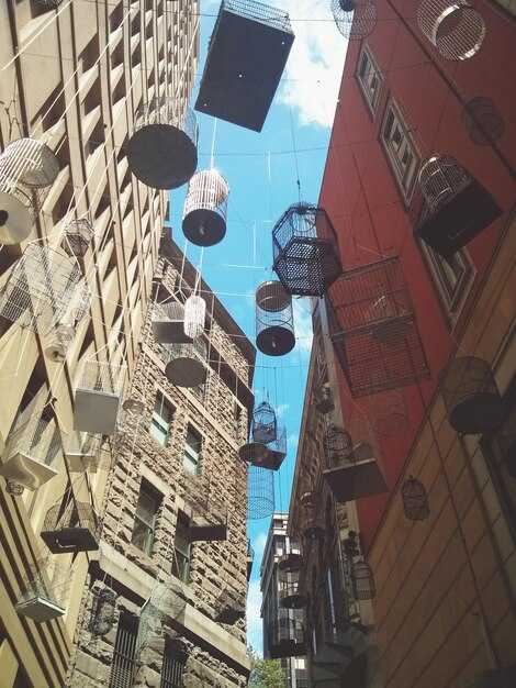 MoMA – Unlocking NYC’s Modern Masterpieces and Its Evolving Artistic Legacy