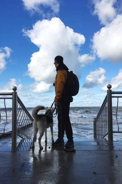 Practical steps to meet legal requirements, health checks, and travel logistics