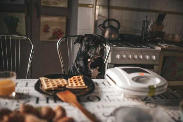 Drink pairings: Brewlita NoLiTa selections and best beverage matches