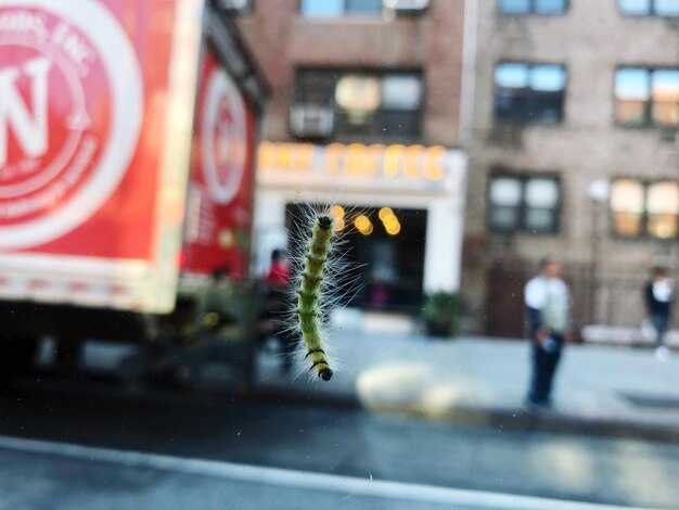 The Ultimate NYC Guide by Locals Who Love It | Insider Tips, Hidden Gems & Local Favorites