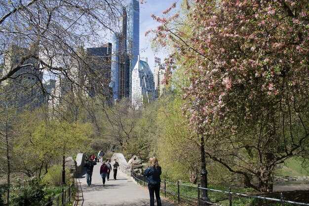 Top Things to Do in Central Park NYC – A Complete Guide
