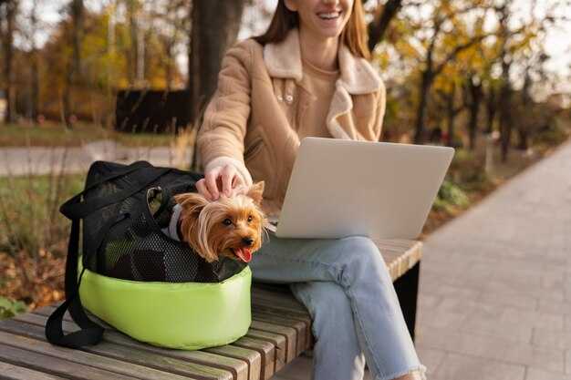 Cabin vs. cargo: determine the best option by pet size and temperament