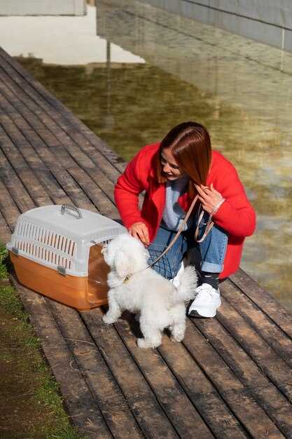 Traveler’s Pet Corner – Essential Tips for Traveling with Pets
