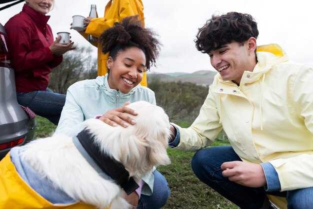 Initial Veterinary Exam Window and Key Checkpoints