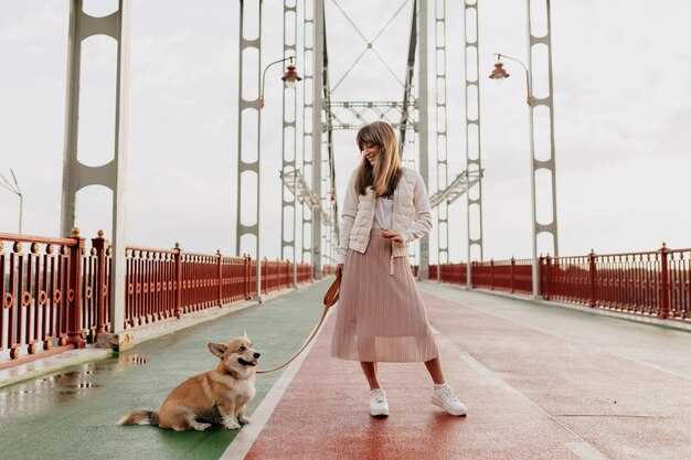 Jane's NYC Walking Tour Guide