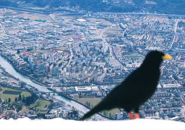 Strategic Overview of Major Airport Hubs